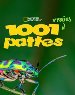 voir serie 1001 vraies pattes saison 1