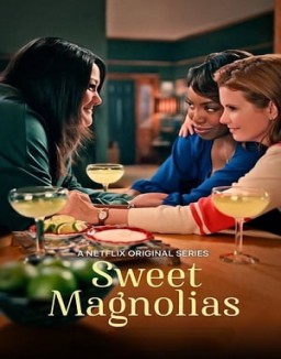 voir serie A L'ombre Des Magnolias saison 1