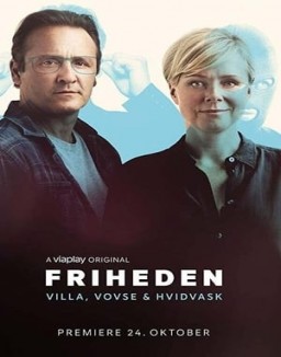 voir serie Arnaques et thérapie saison 1