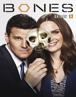 Affiche de la série Bones
