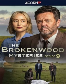 Affiche de la série Brokenwood