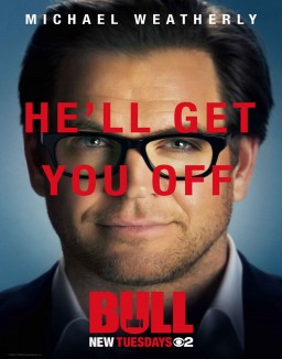 série Bull