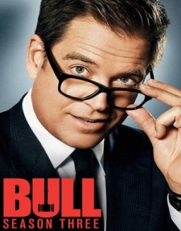 série Bull