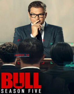 série Bull