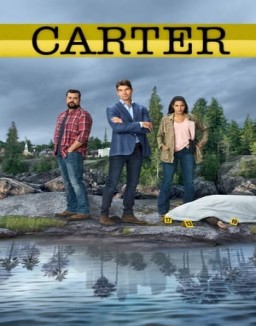 voir serie Carter saison 1