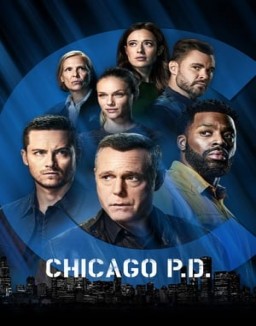 voir serie Chicago Police Department saison 1