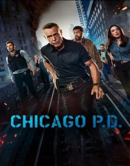 Affiche de la série Chicago Police Department