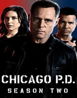voir serie Chicago Police Department saison 2