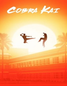 voir serie Cobra Kai saison 1