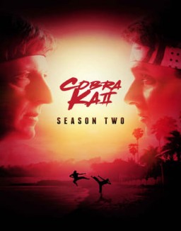 voir serie Cobra Kai saison 2