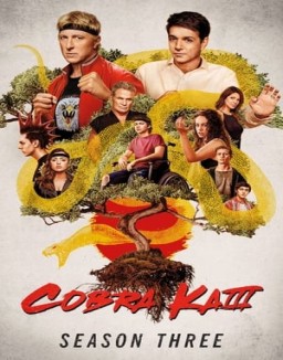 voir serie Cobra Kai saison 3