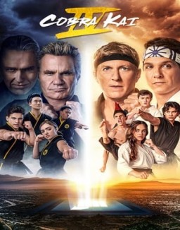 voir serie Cobra Kai saison 4