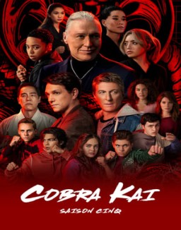 voir serie Cobra Kai saison 5