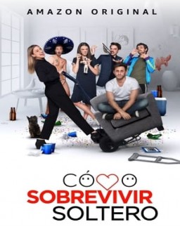 voir serie Comment survivre célibataire saison 1