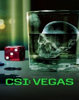 Affiche de la série CSI: Vegas
