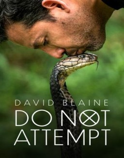 série David Blaine : Aux frontières de l'impossible