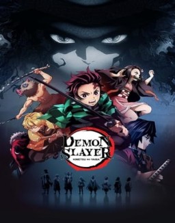 série Demon Slayer : Kimetsu no Yaiba