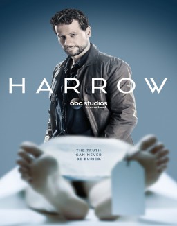 voir serie Dr Harrow saison 1