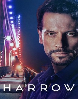 voir serie Dr Harrow saison 2