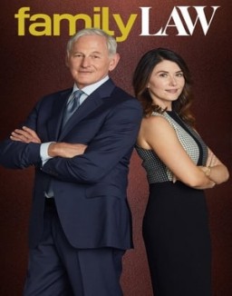 voir serie Family Law saison 1