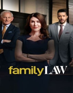 voir serie Family Law saison 2