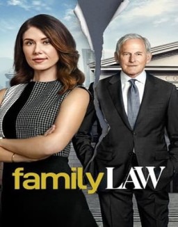 Affiche de la série Family Law