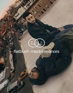voir serie Flatbush Misdemeanors saison 1