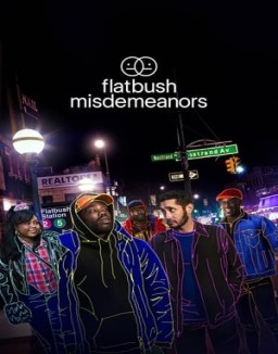 Affiche de la série Flatbush Misdemeanors
