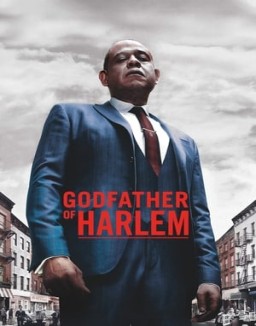 voir serie Godfather of Harlem saison 1