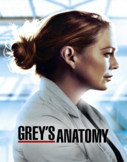 voir serie Grey's Anatomy saison 1