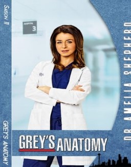 voir serie Grey's Anatomy saison 11
