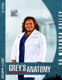 voir serie Grey's Anatomy saison 12