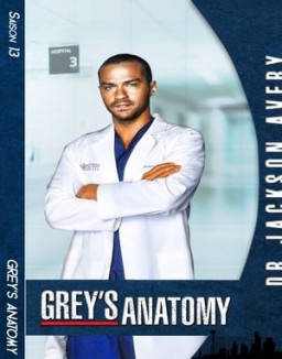 voir serie Grey's Anatomy saison 13