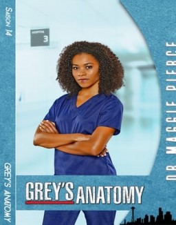 voir serie Grey's Anatomy saison 14