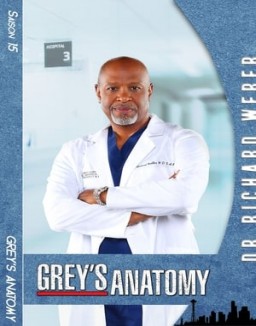 voir serie Grey's Anatomy saison 15