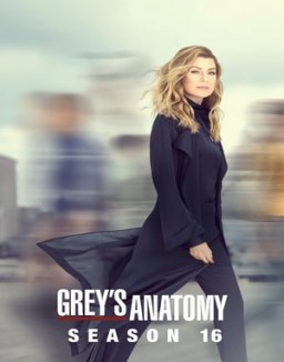 voir serie Grey's Anatomy saison 16