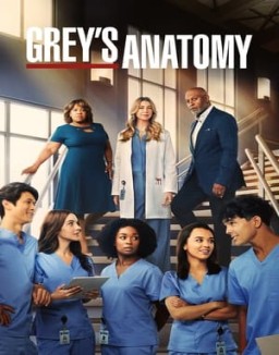 voir serie Grey's Anatomy saison 19