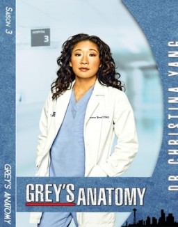 voir serie Grey's Anatomy saison 3