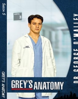 voir serie Grey's Anatomy saison 5