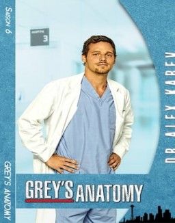voir serie Grey's Anatomy saison 6