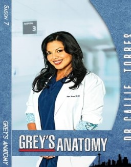 voir serie Grey's Anatomy saison 7