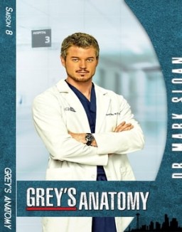 voir serie Grey's Anatomy saison 8