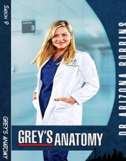 voir serie Grey's Anatomy saison 9