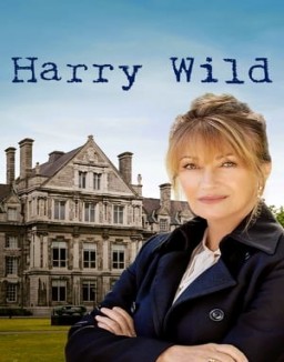 voir serie Harry Wild saison 1