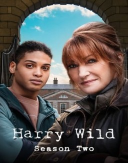 voir serie Harry Wild saison 2