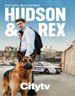 voir serie Hudson et Rex saison 4