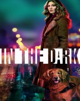 voir serie In the Dark saison 1