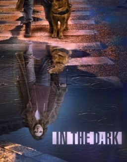 voir serie In the Dark saison 2