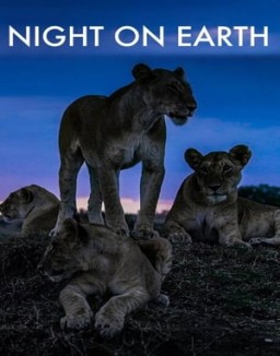 Affiche de la série La Terre, La Nuit