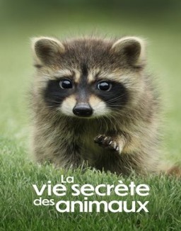 série La Vie secrète des animaux